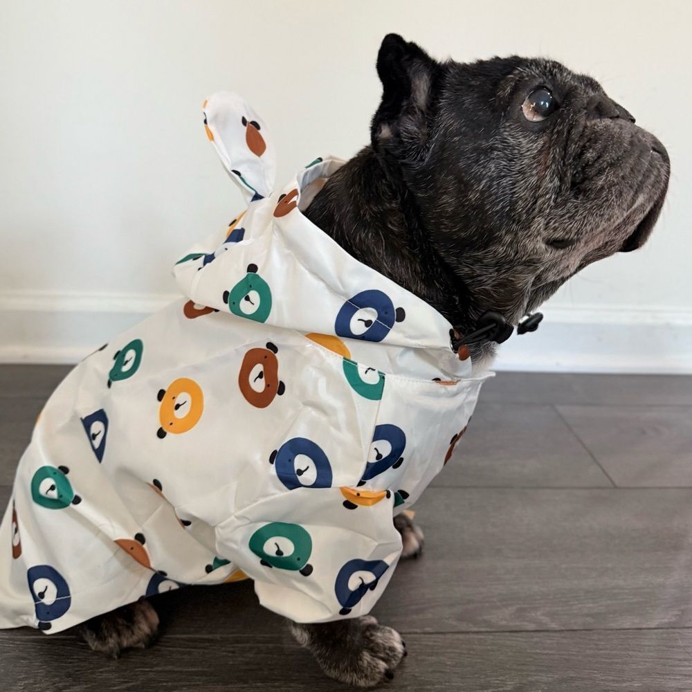 Stylish Dog Raincoat with Bear Print